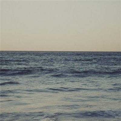 金年会官方APP下载