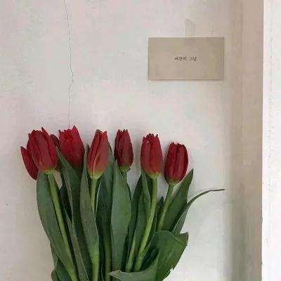 火狐电竞·huohuapp下载