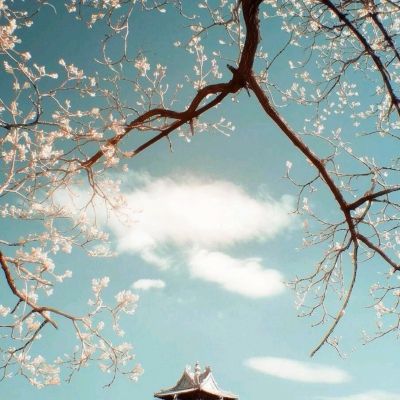 星空下载站官网手机app下载截图